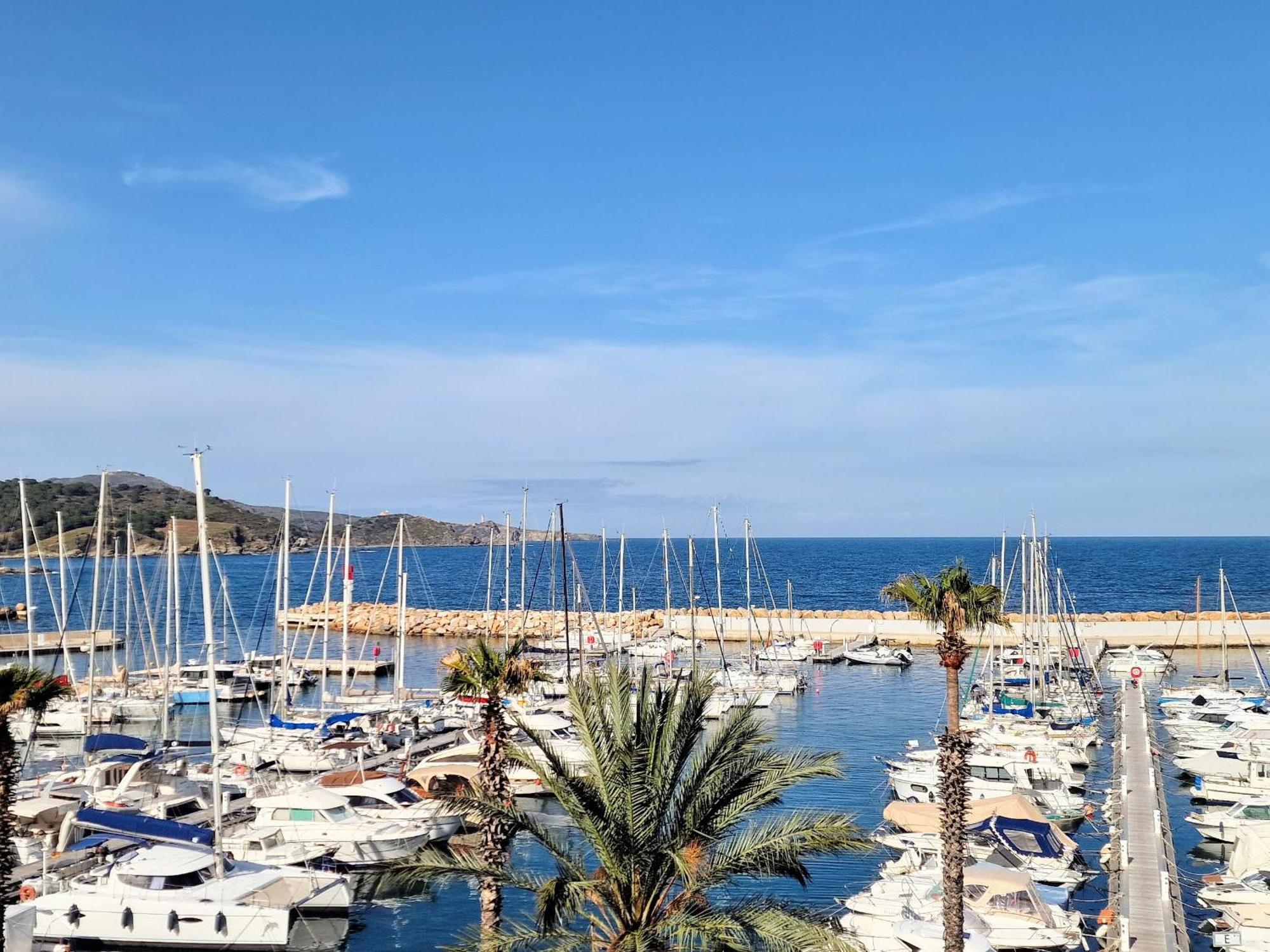 Banyuls-sur-mer, 2 Pieces, 4 Personnes - Fr-1-309-167 Banyuls-sur-Mer